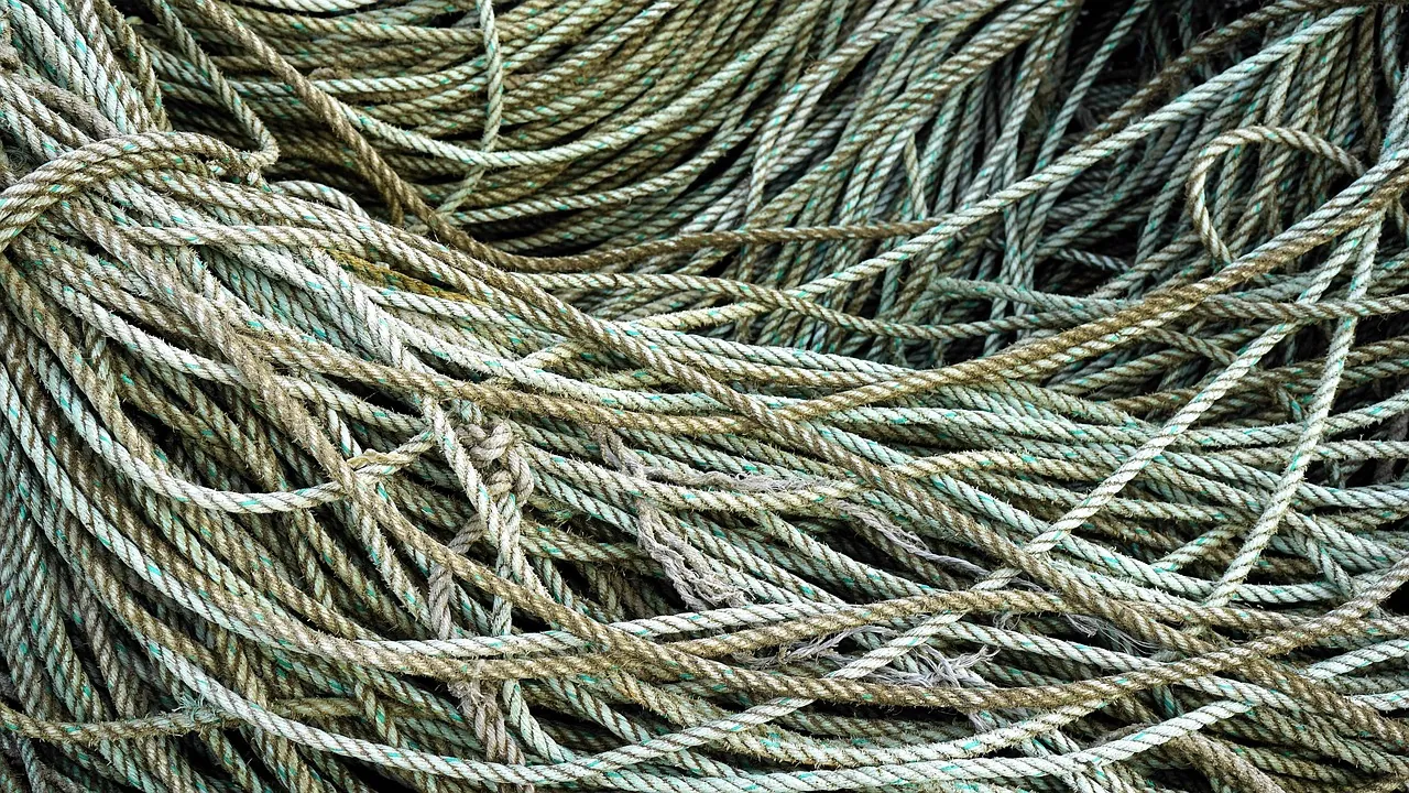 Un amas de cordages emmêlés les uns dans les autres